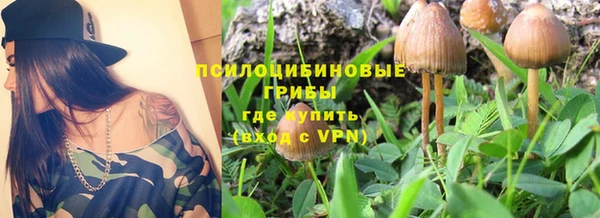 мяу мяу мука Арсеньев
