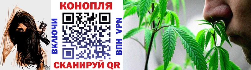 Бошки Шишки конопля  Облучье 